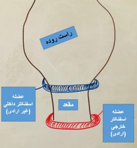 برای بزرگنمائی بیشتر روی تصویر کلیک کنید