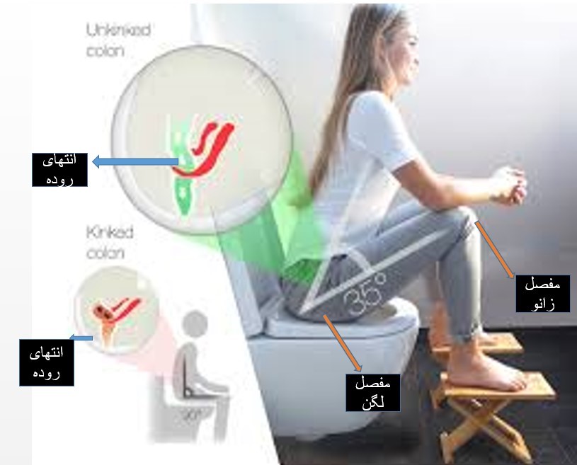 علل یبوست، استفاد، از توالت فرنگی