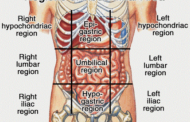 Regions of abdominal area