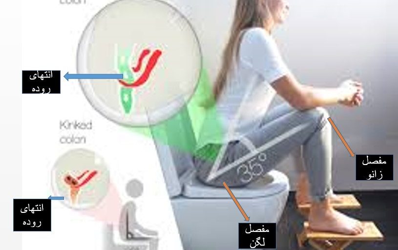 علل یبوست، استفاد، از توالت فرنگی